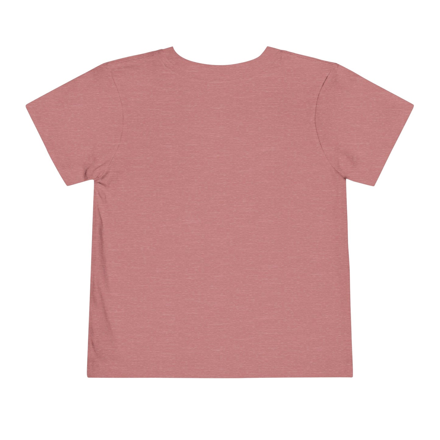 Funny Skater Toddler Short Sleeve Tee