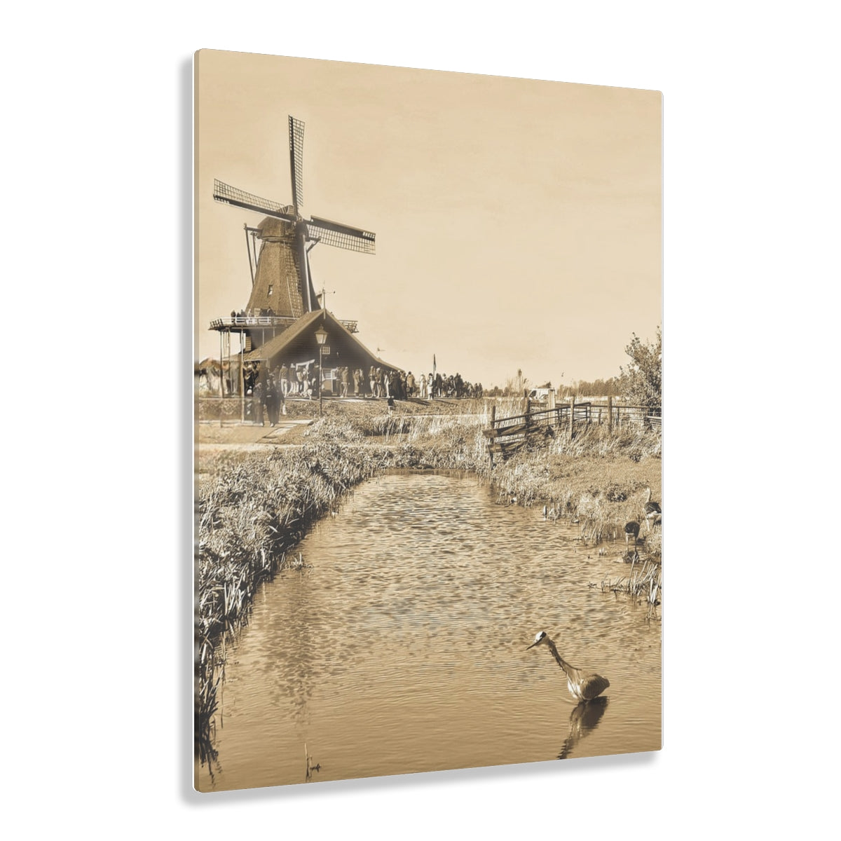 Dutch Windmill Scene Acrylic Print