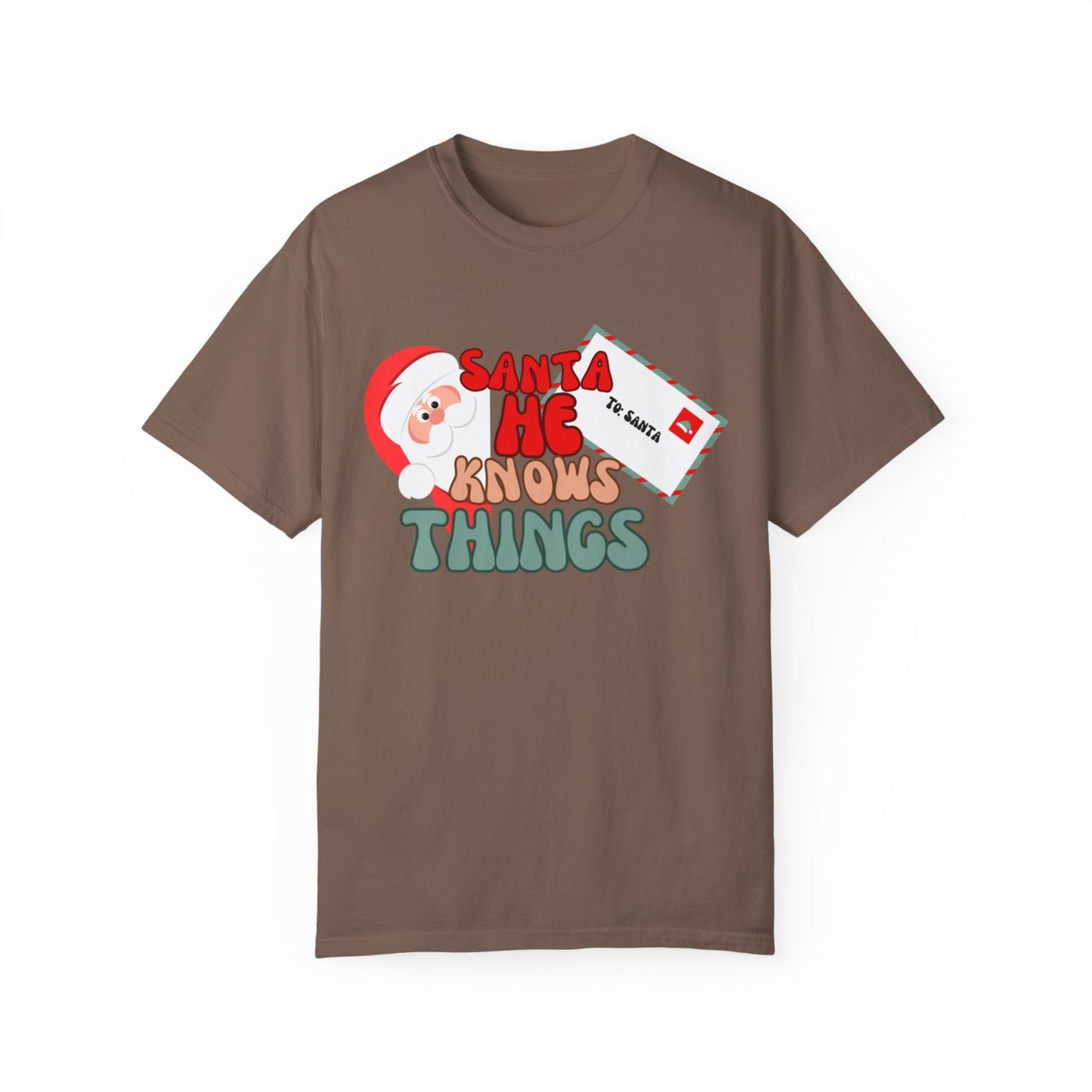 Comfy Funny Santa T-Shirt