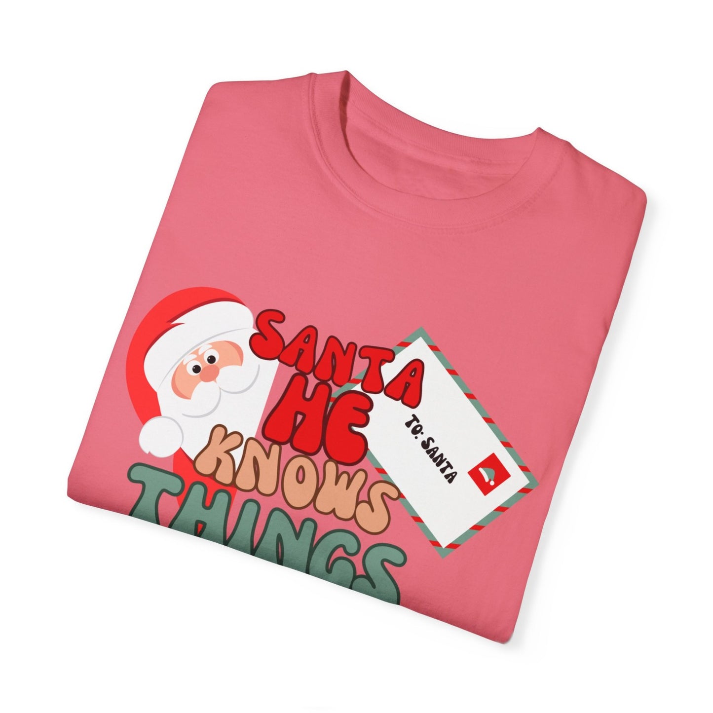 Comfy Funny Santa T-Shirt