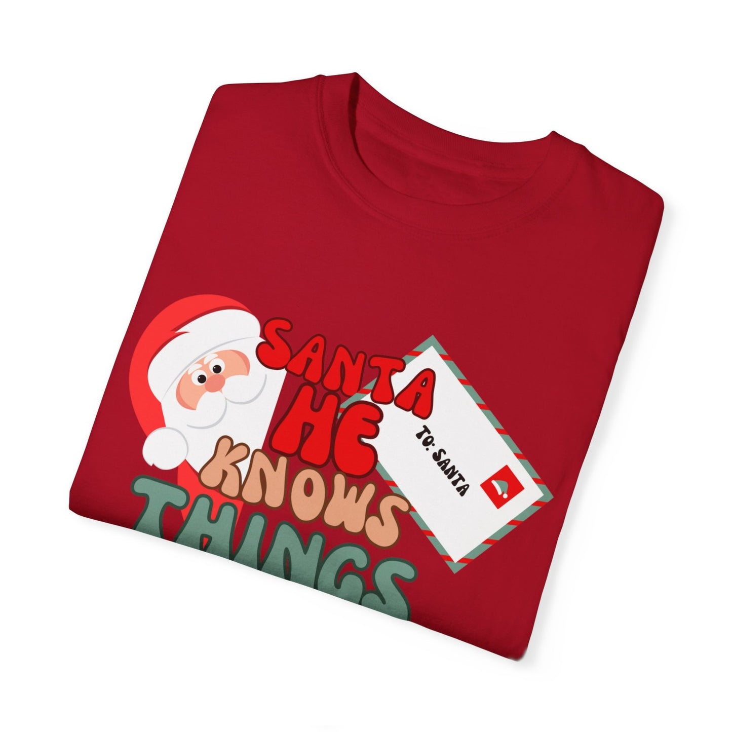 Comfy Funny Santa T-Shirt