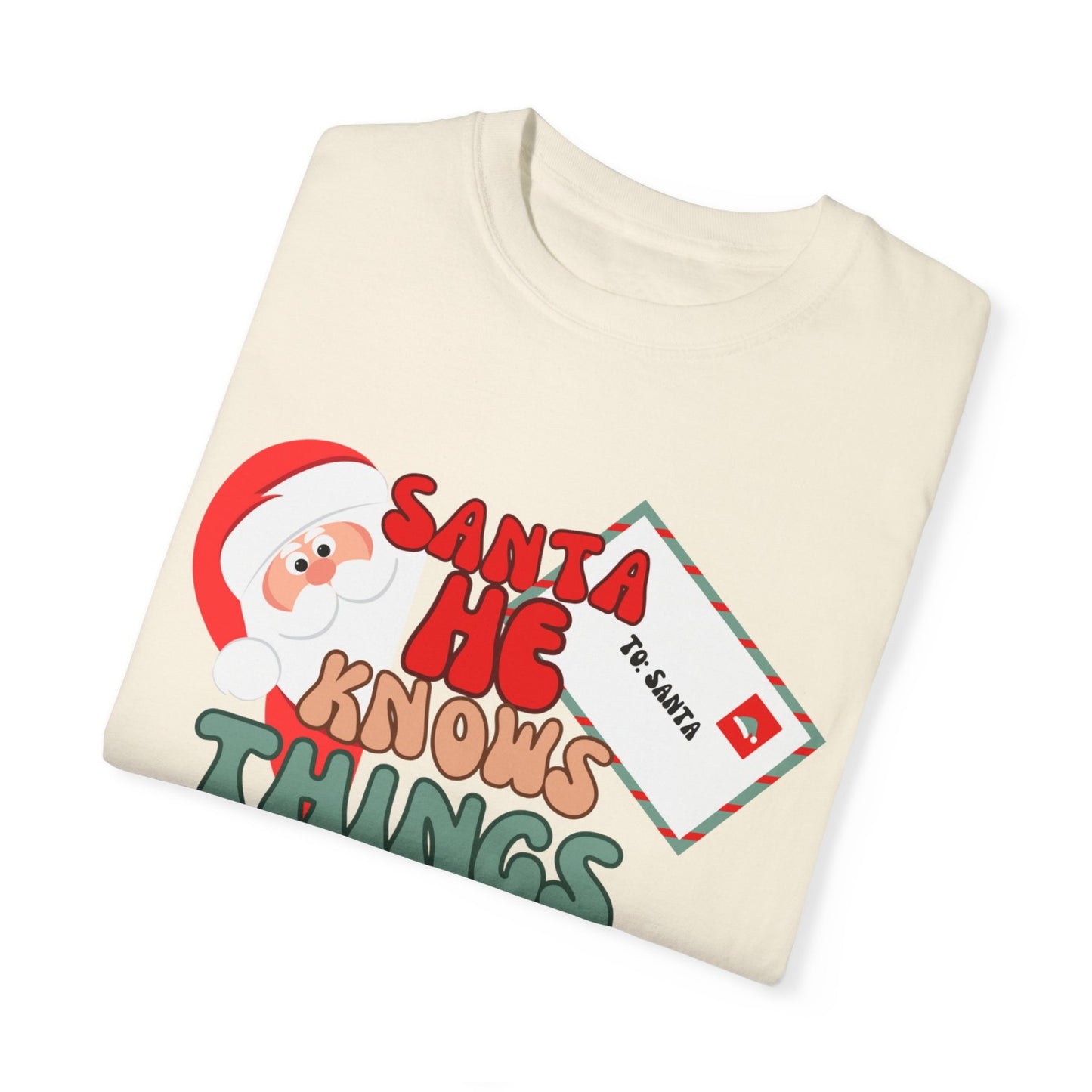 Comfy Funny Santa T-Shirt