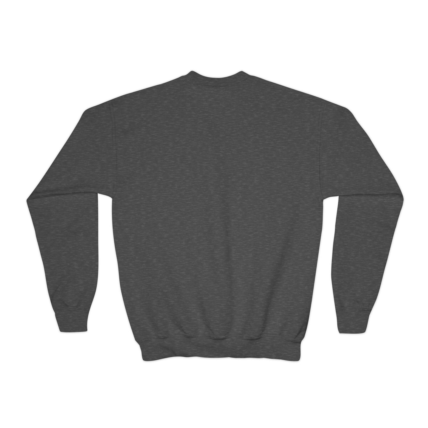 Cozy Youth Crewneck Sweatshirt Featuring Skater Hammies