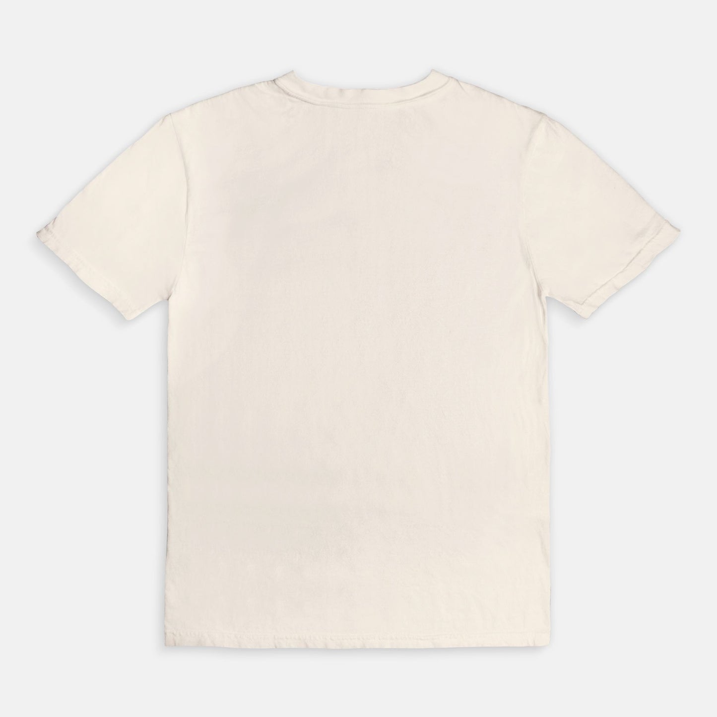 Comfort Colors Tee 1717
