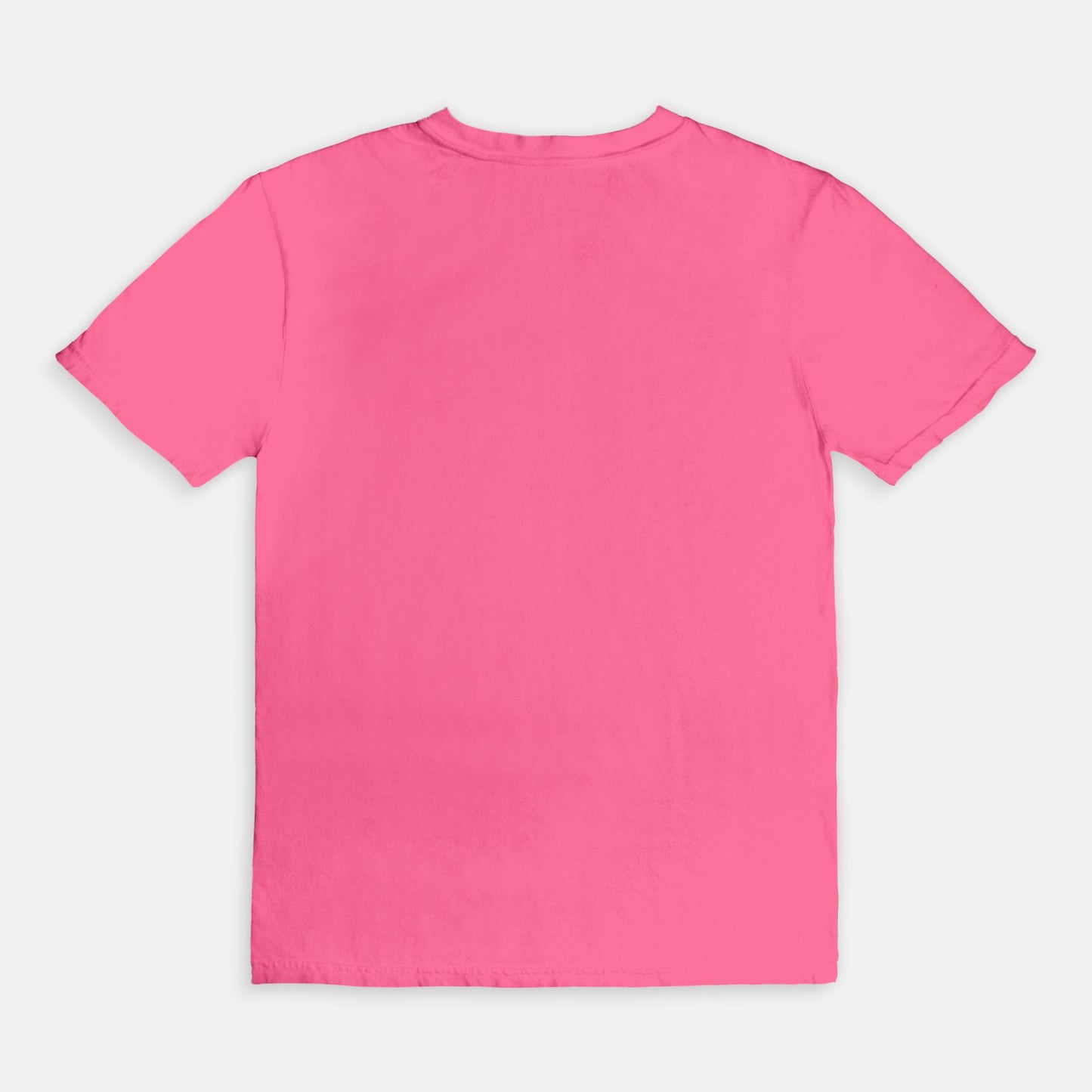 Comfort Colors Tee 1717