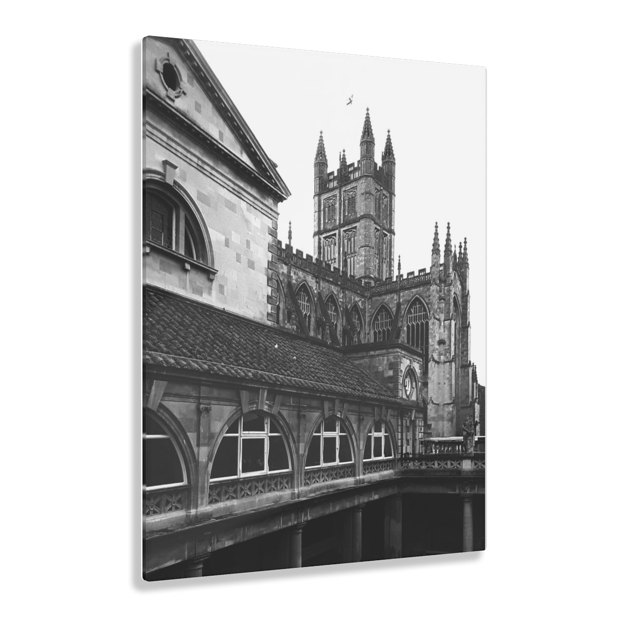 British Abby Acrylic Print