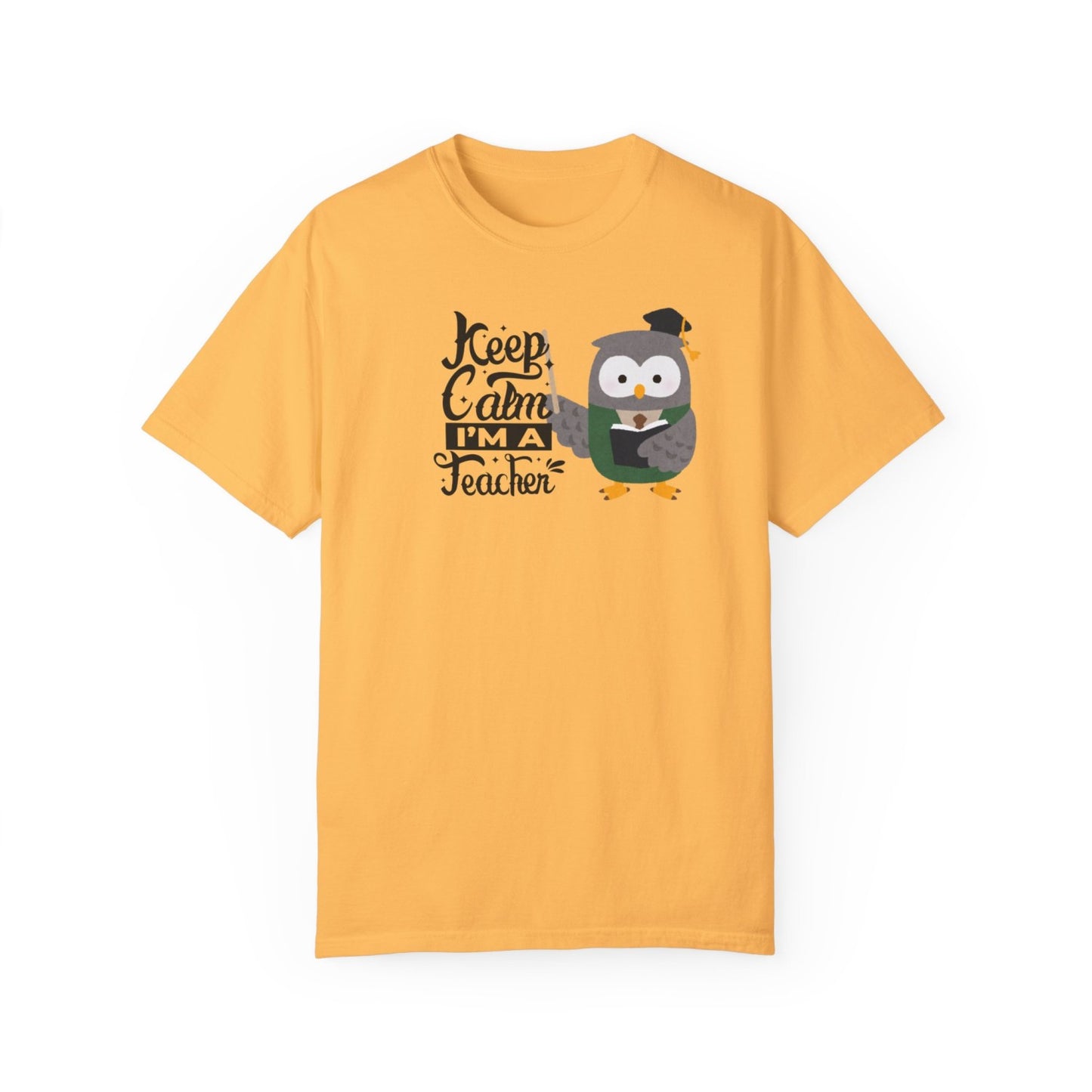 Back to School T-Shirt for Teacher or Principal