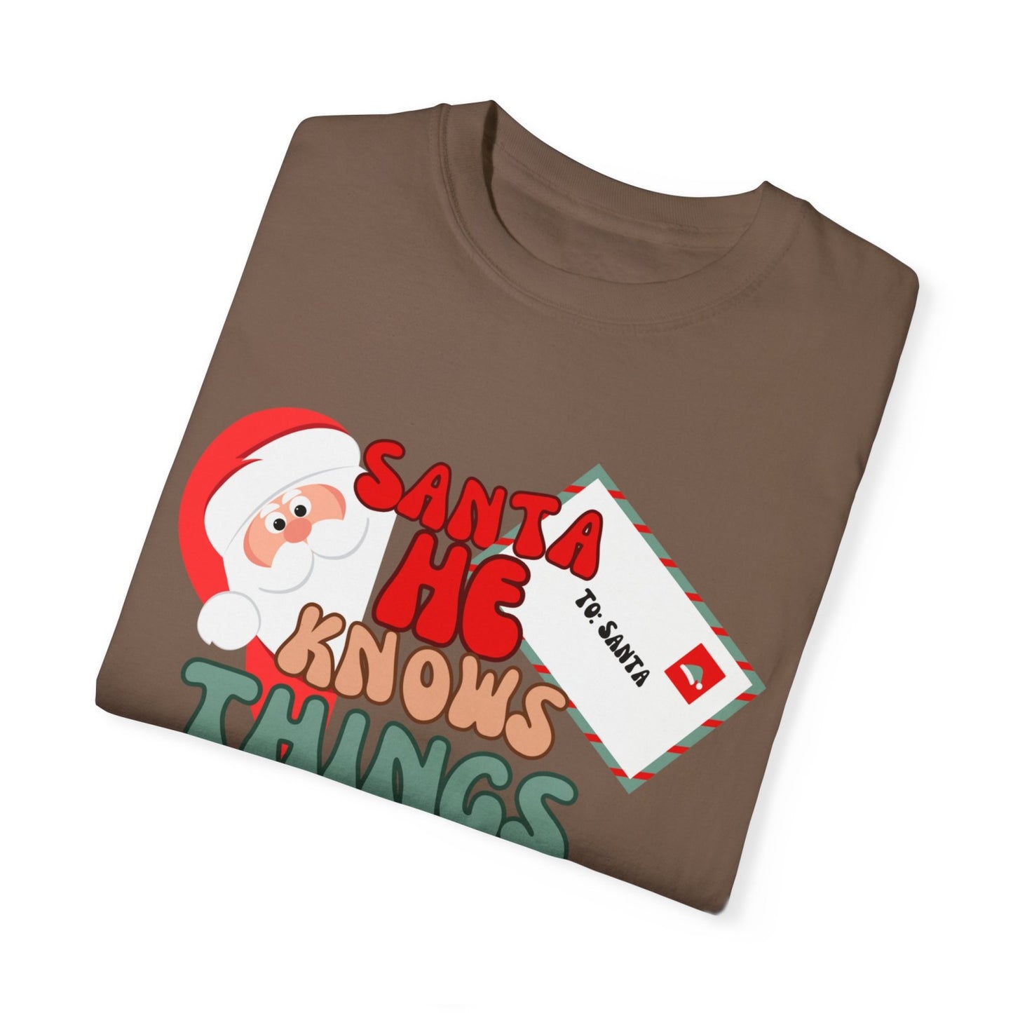 Comfy Funny Santa T-Shirt