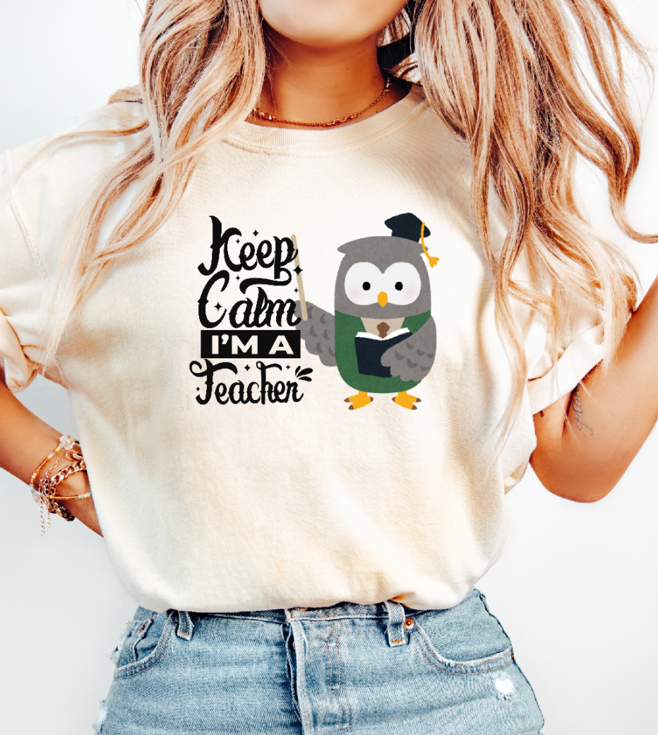 Back to school t-shirt teacher