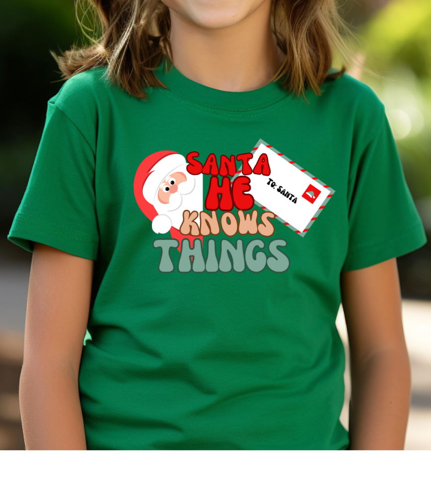 Funny Santa Kids Heavy Cottonâ„¢ Tee