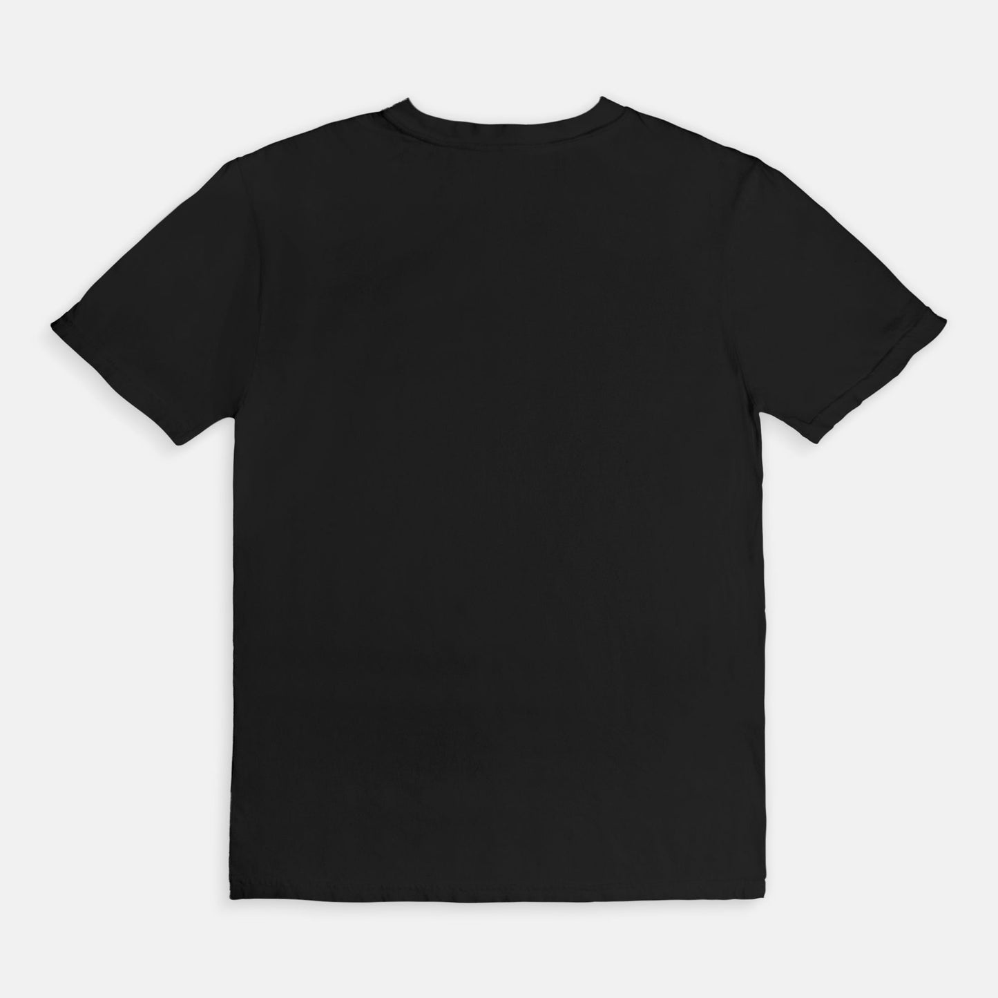 Comfort Colors Tee 1717